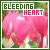 Bleeding heart flowers fanlisting button