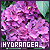 Hydrangeas fanlisting button