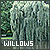 Willow trees fanlisting button