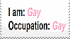I am: Gay, Occupation: Gay